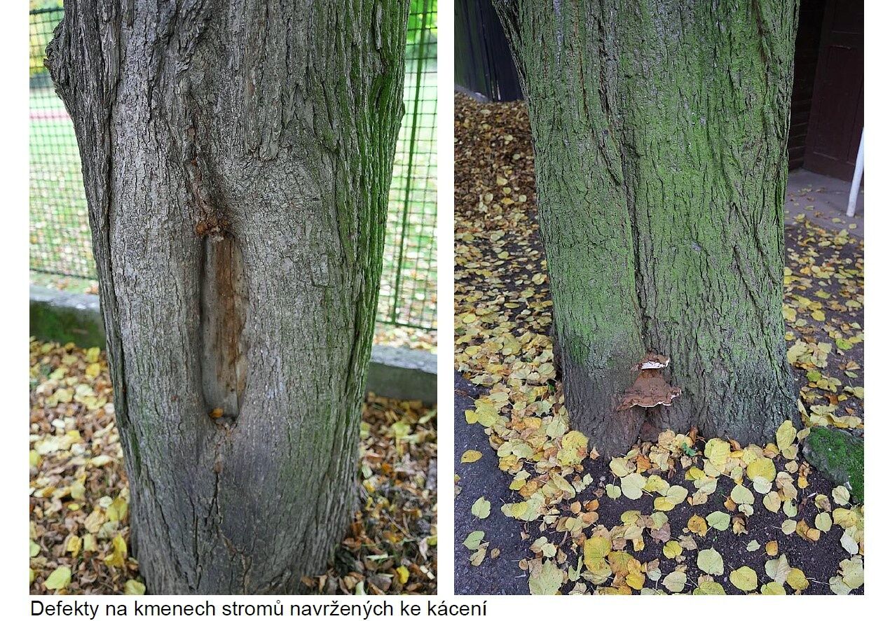 Revitalizace aleje v ulici Kovanická v Nymburce
