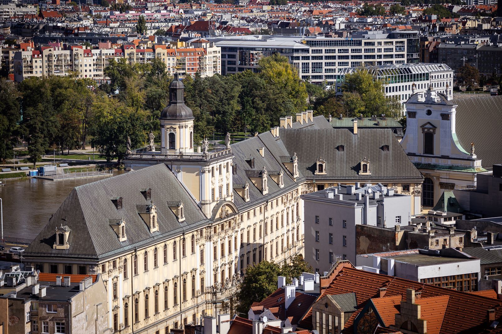 Dzień Georóżnorodności na UWr