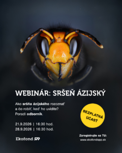 Bezplatný webinár sršeň ázijský - Ekofond SPP