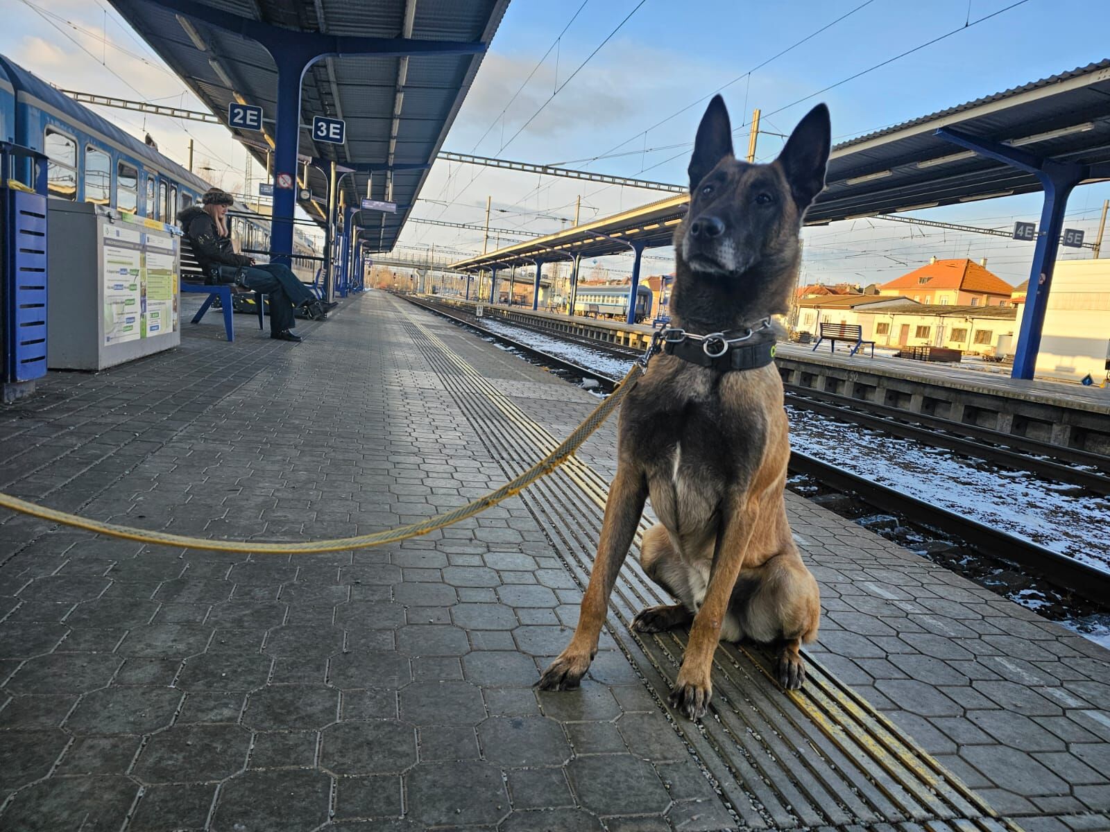 Connor vyčmuchal neznačené tabákové výrobky v Balíkovně