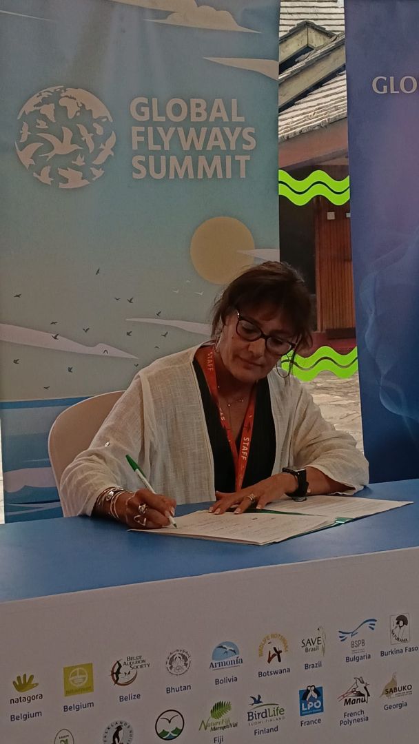 Firmamos la Declaración de Nairobi para salvaguardar las aves migratorias
