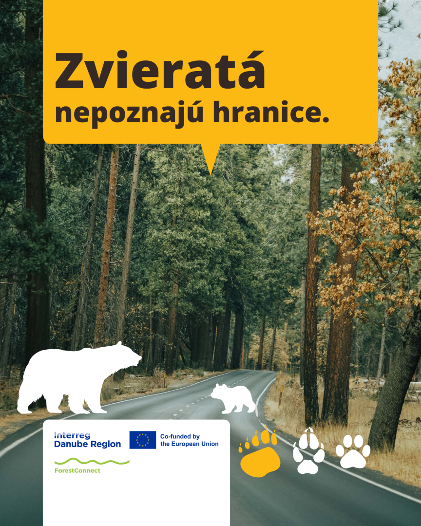 Les, ktorý vydrží viac: ako reagovať na sucho a extrémy v praxi