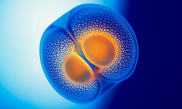 Advancing Care in Renal Cell Carcinoma: Earlier Treatment, Better Outcomes, and Stronger Support for Patients