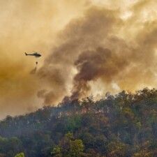 Allianz supera los 1,2 millones de avisos preventivos a clientes ante los incendios forestales de este verano