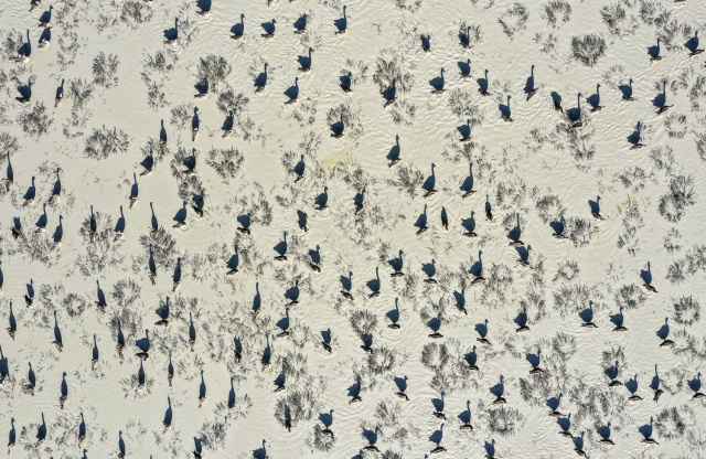 A természet csodáit bemutató fotókiállítással nyílt meg, izgalmas programokkal várja az érdeklődőket a Biológiai Tudományok Osztályának ünnepi eseménysorozata – regisztráljon!