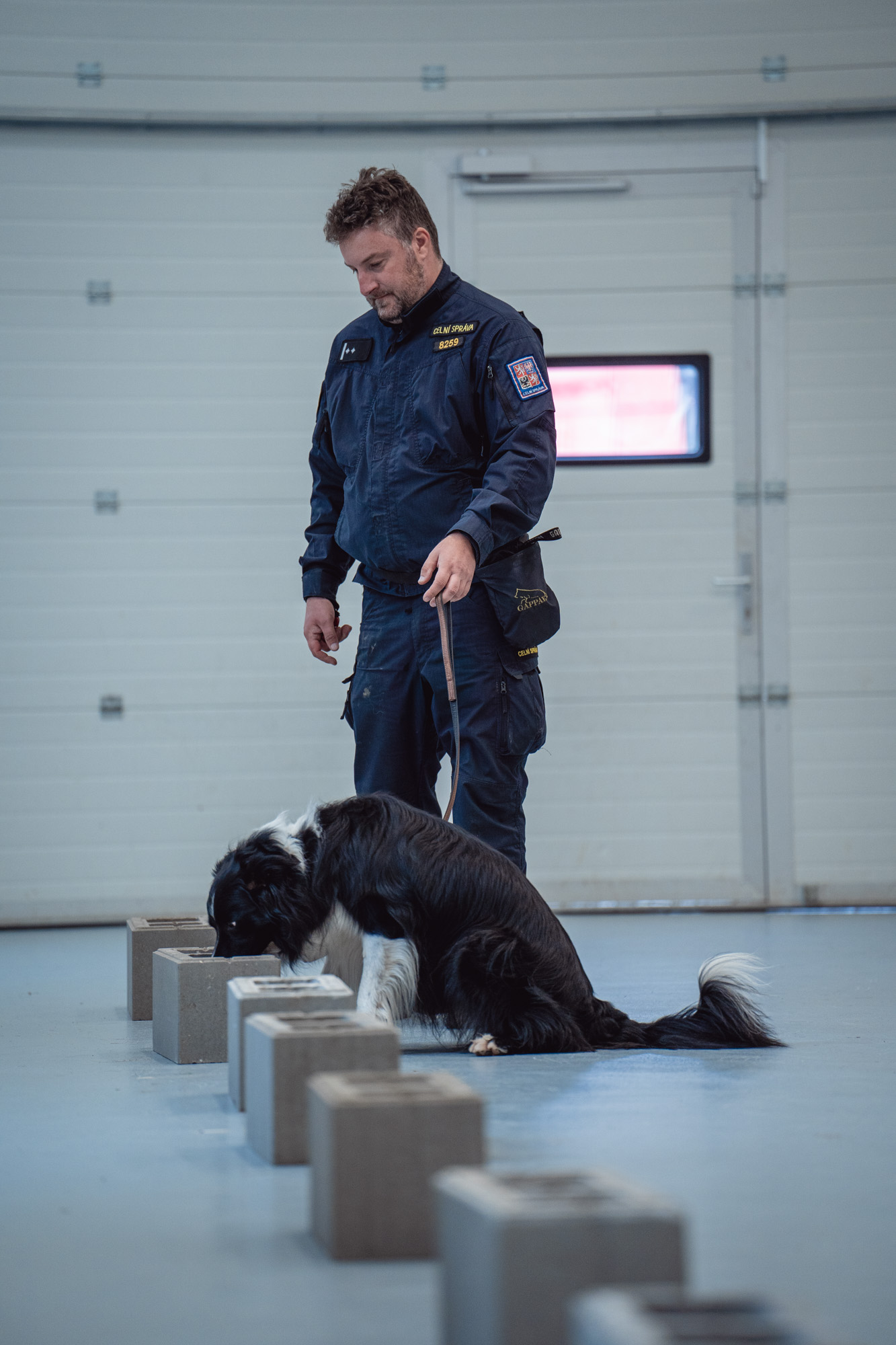 Deset služebních psů Celní správy ČR umí odhalit fentanyl