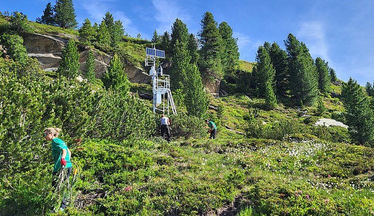 Naturschutzplan auf der Alm