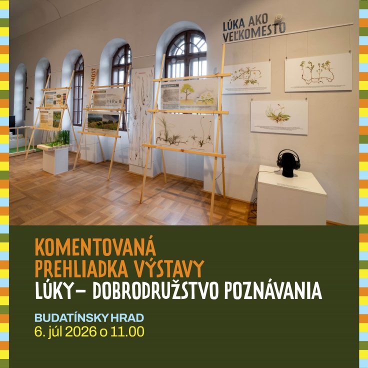 Komentovaná prehliadka výstavy Lúky – dobrodružstvo poznávania