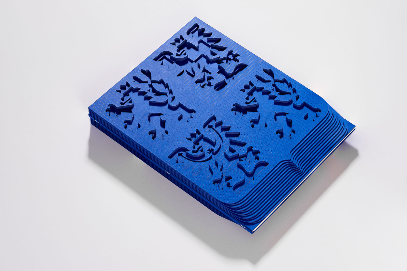 Prestižní ocenění pro slavnostní provedení Ústavy ČR