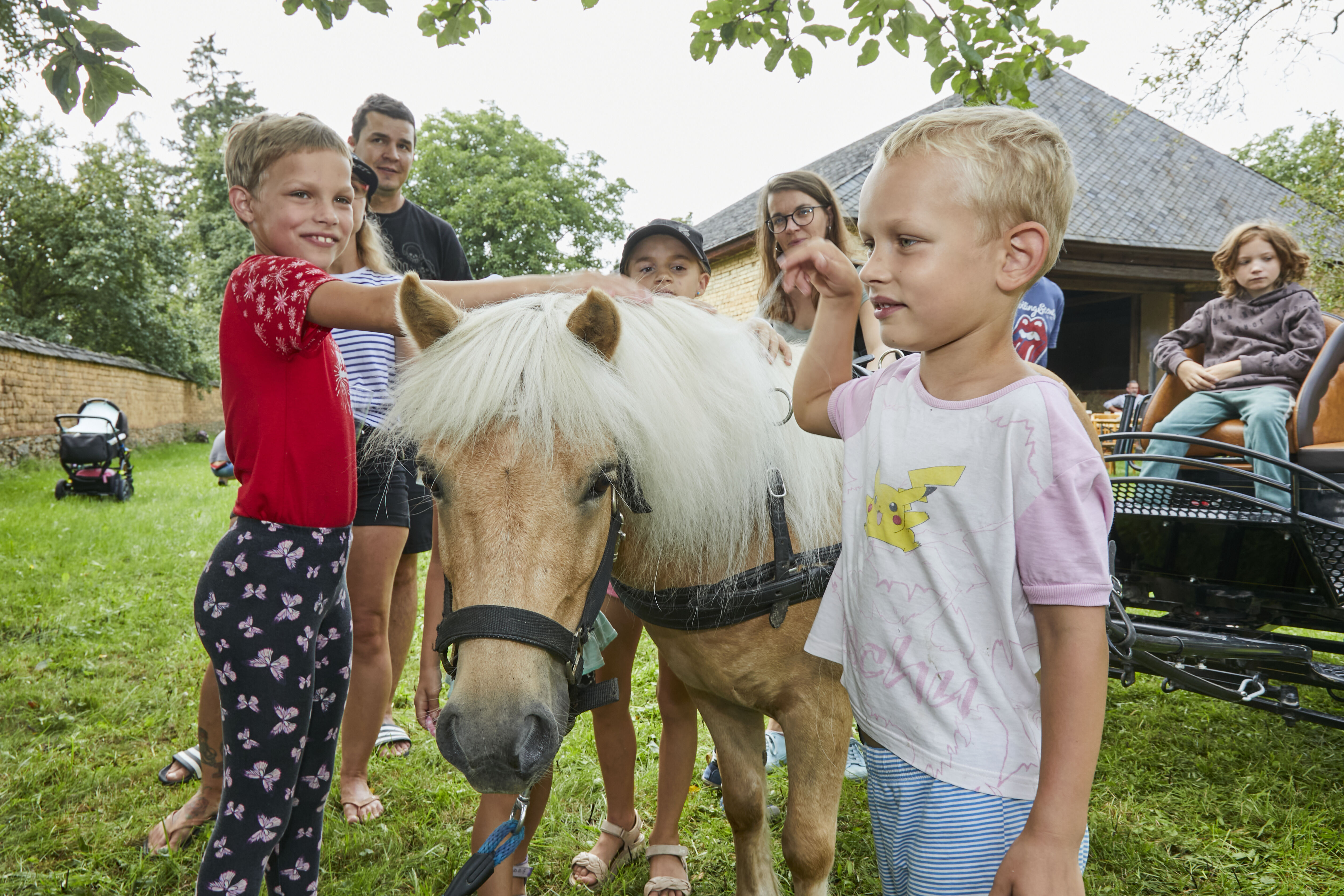 Koniny nabídnou pohodové rozloučení s prázdninami v Hanáckém muzeu v přírodě
