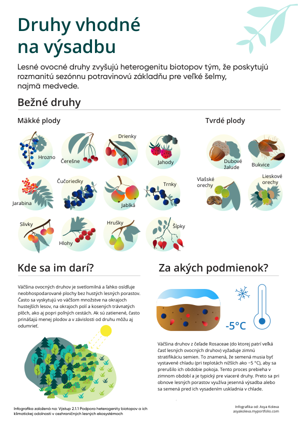 Malé Foki opäť ožíva. Slávnostne sme otvorili obnovené dunajské rameno