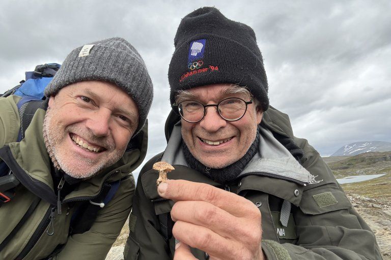 Searching for unknown fungi in the mountains