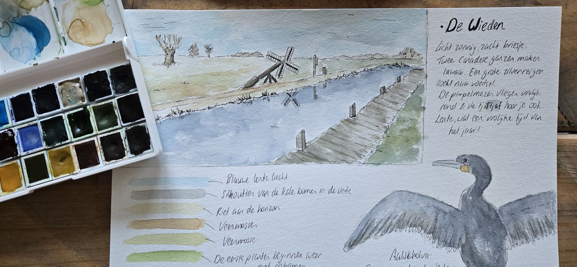 Workshop Natuurtekenen in De Wieden