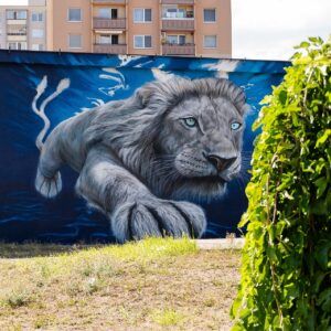 V Senci máme prvé streetartové umenie – kde by podľa vás mohlo vzniknúť ďalšie?