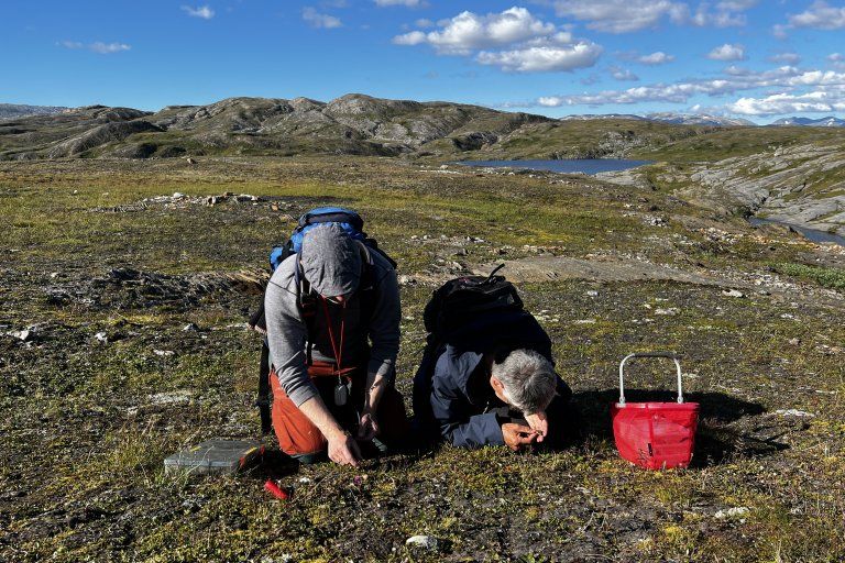 Searching for unknown fungi in the mountains
