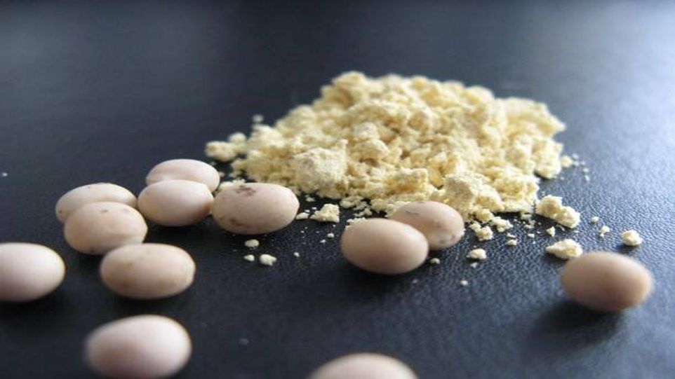 Fettmoleküle verstärken Immunreaktion