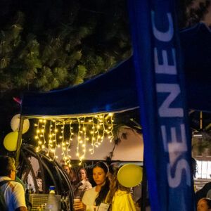 15. ročník Benefičného festivalu Senčania Senčanom