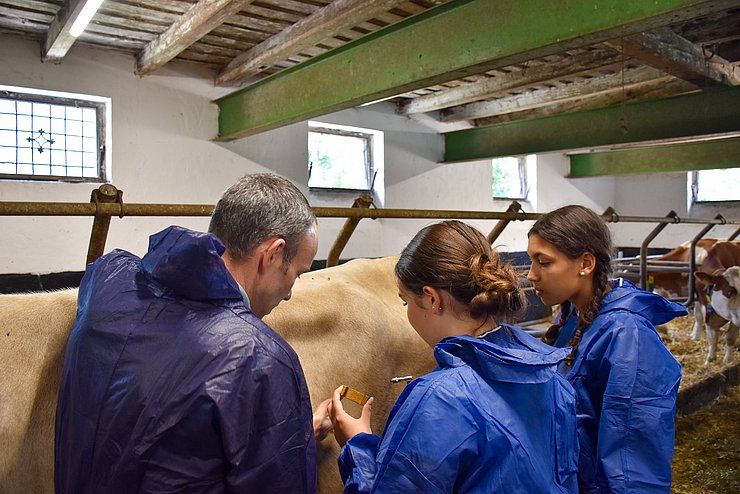 Fünfte Summer School VetINNSights erfolgreich abgeschlossen
