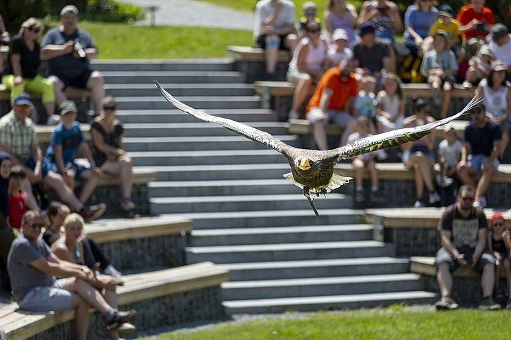 Gelungenes Familienfest im Ötzi-Dorf & Greifvogelpark Umhausen