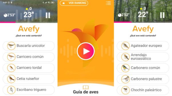 Aprende jugando con Avizor y Avefy
