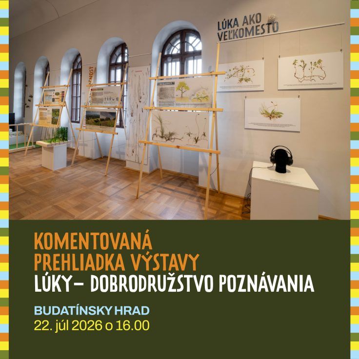 Komentovaná prehliadka výstavy Lúky – dobrodružstvo poznávania