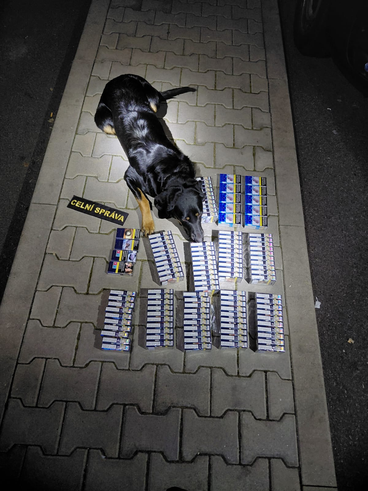 Středočeští celníci na D1 zastavili pašeráky, úkryty odhalila fena Bára
