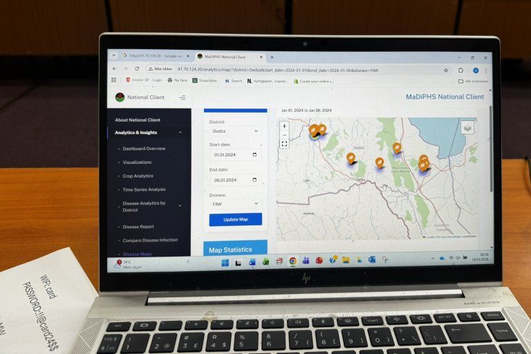 Malawian farmers help shape digital plant-health services