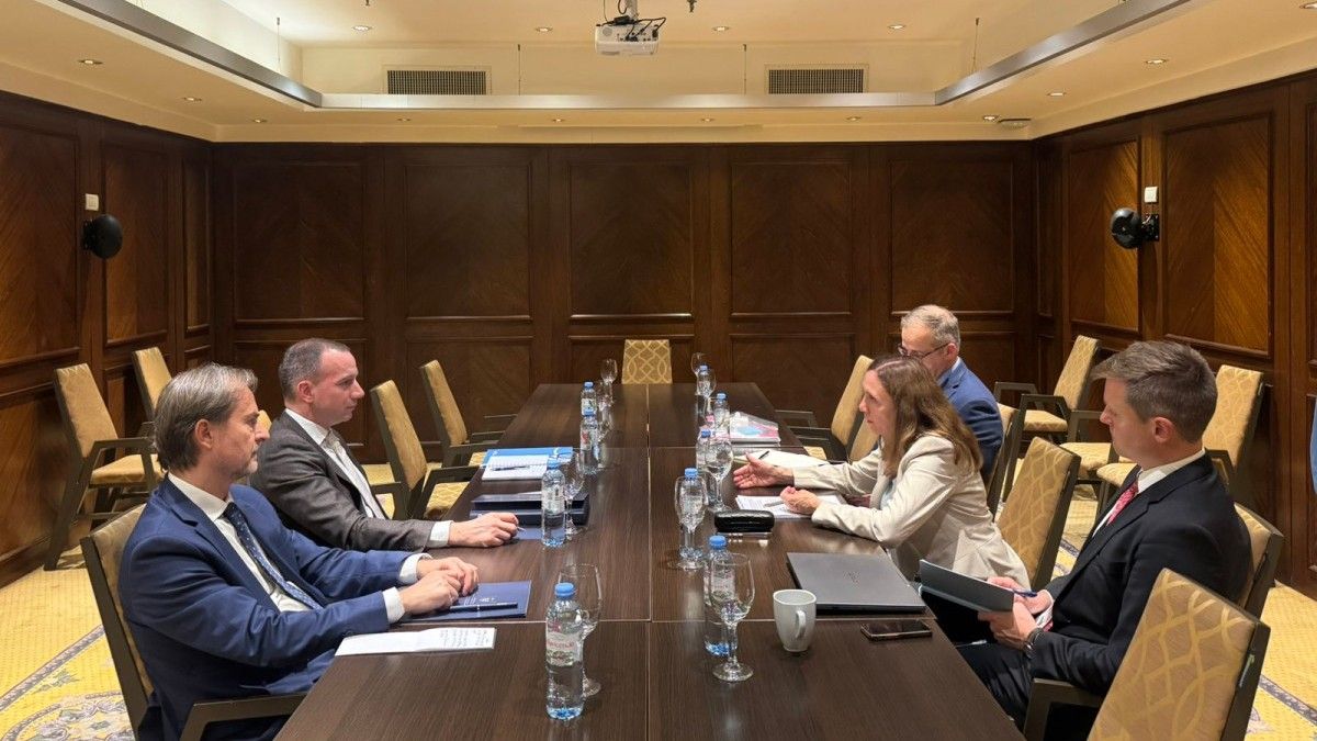 Јовић о сарадњи са Међународном алијансом за сећање на Холокауст