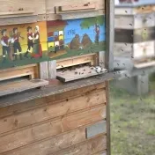 Slovinský veľvyslanec Stanislav Raščan navštívil PU, na znak priateľstva zasadil lipu
