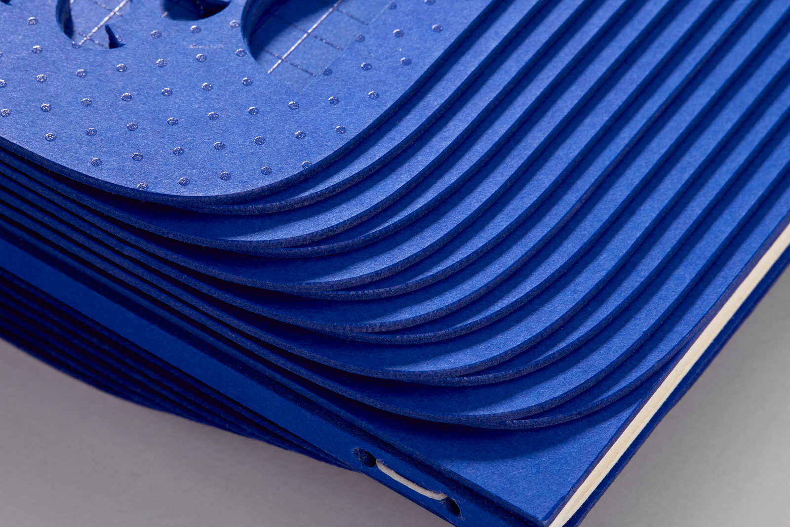 Prestižní ocenění pro slavnostní provedení Ústavy ČR