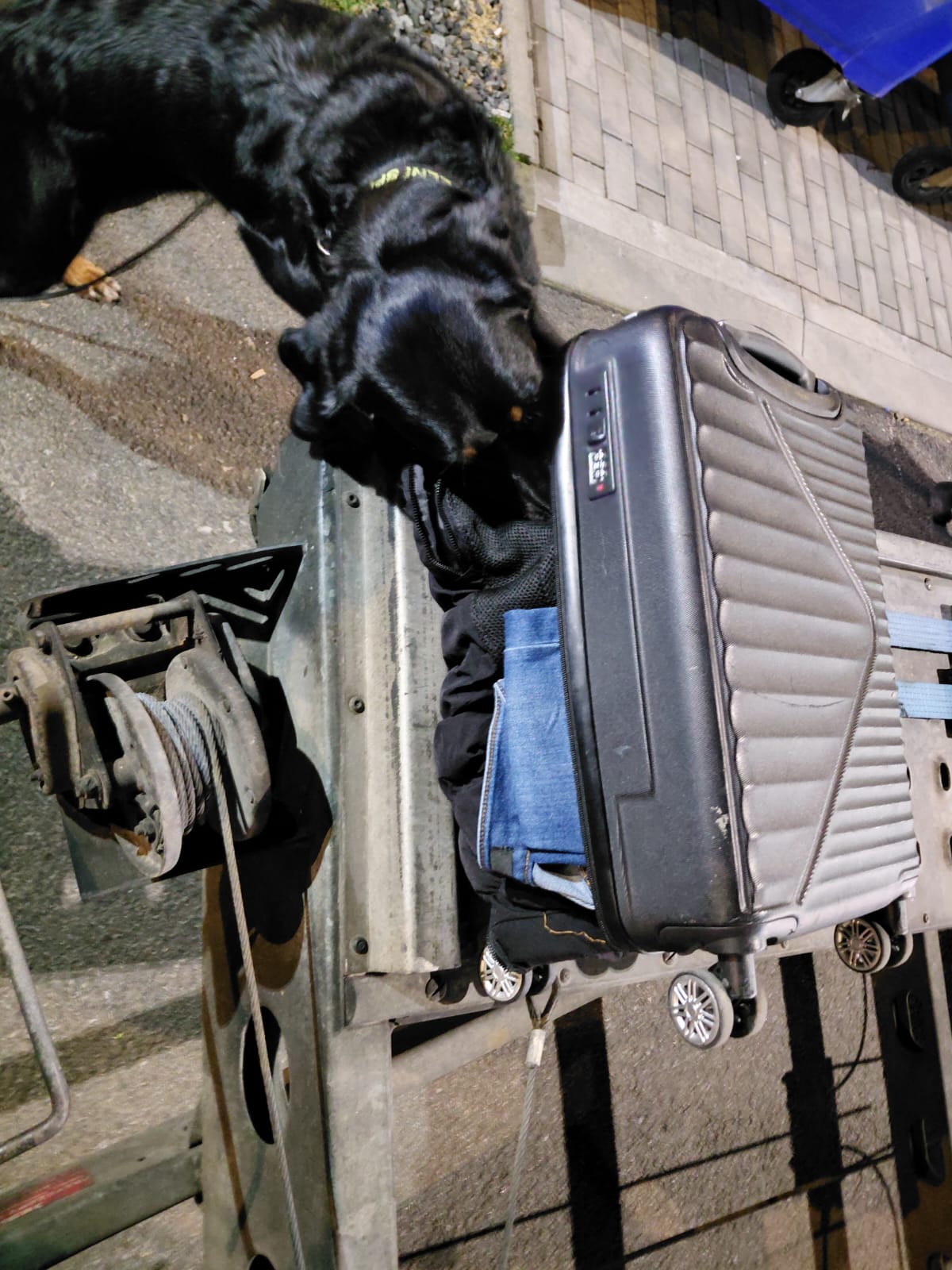 Středočeští celníci na D1 zastavili pašeráky, úkryty odhalila fena Bára