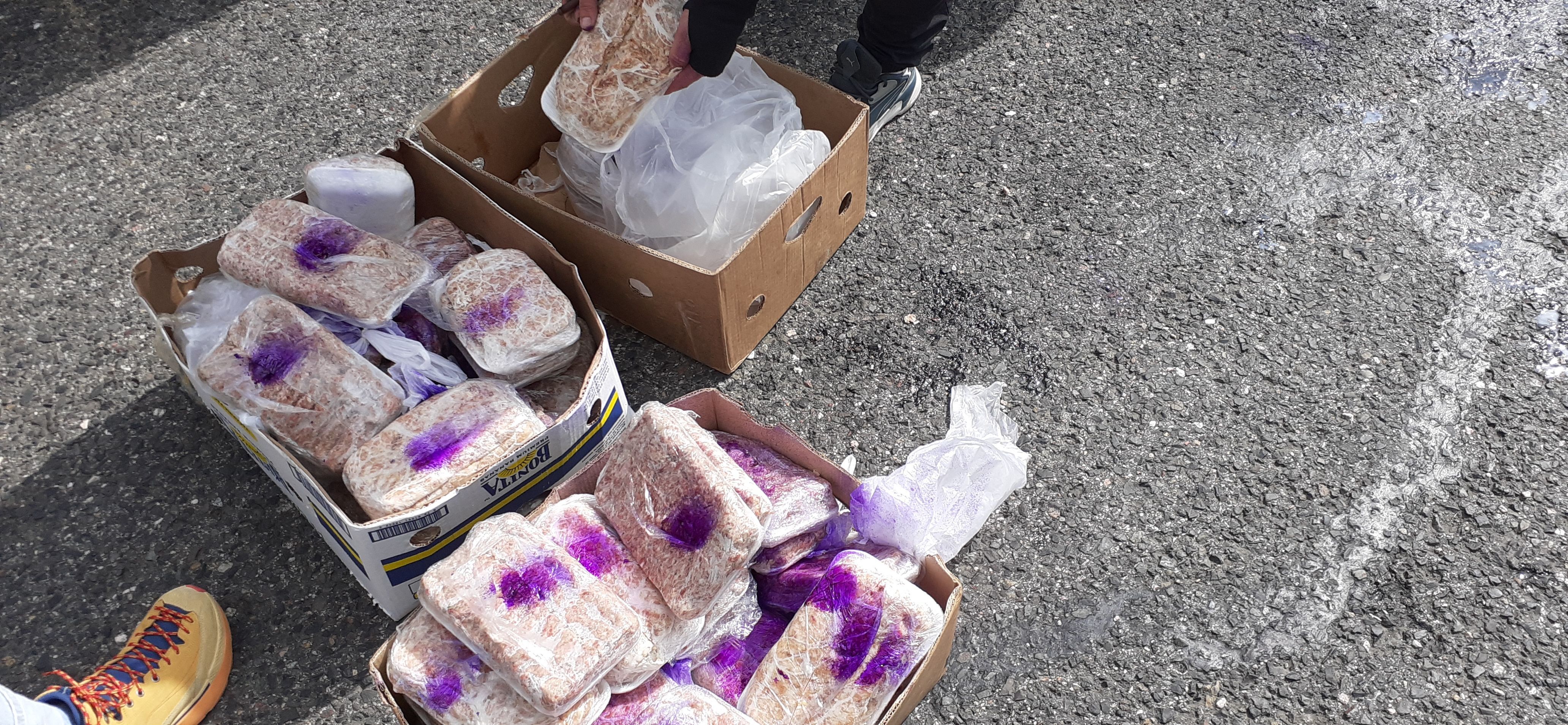Živočišné produkty přes středočeské celníky neprošly