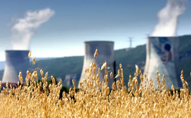 Nucléaire civil : les défis de l’organisation de la sûreté