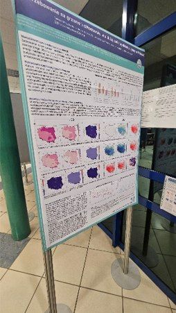 Modelowanie klimatu na konferencji w Łodzi