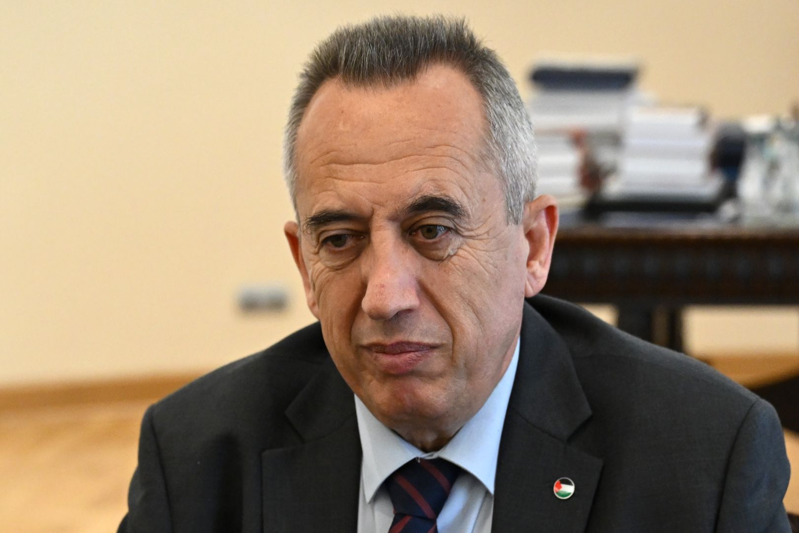 Јовић са амбасадором Државе Палестине