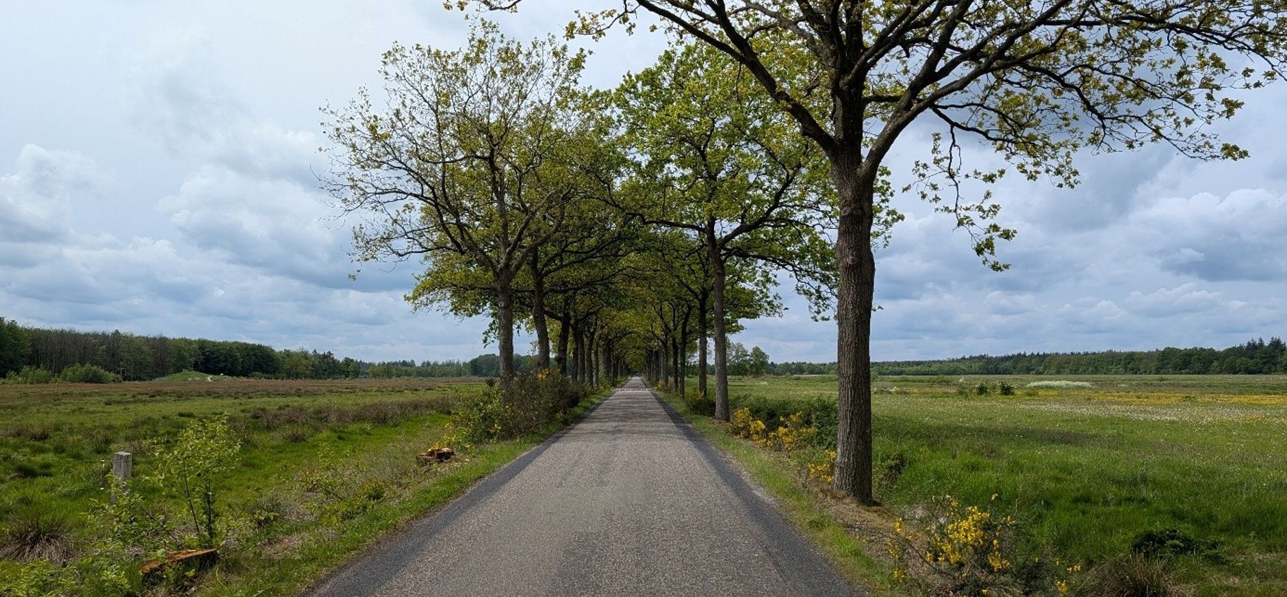 Laatste stap in herinrichting natuurgebied bij Oude Willem