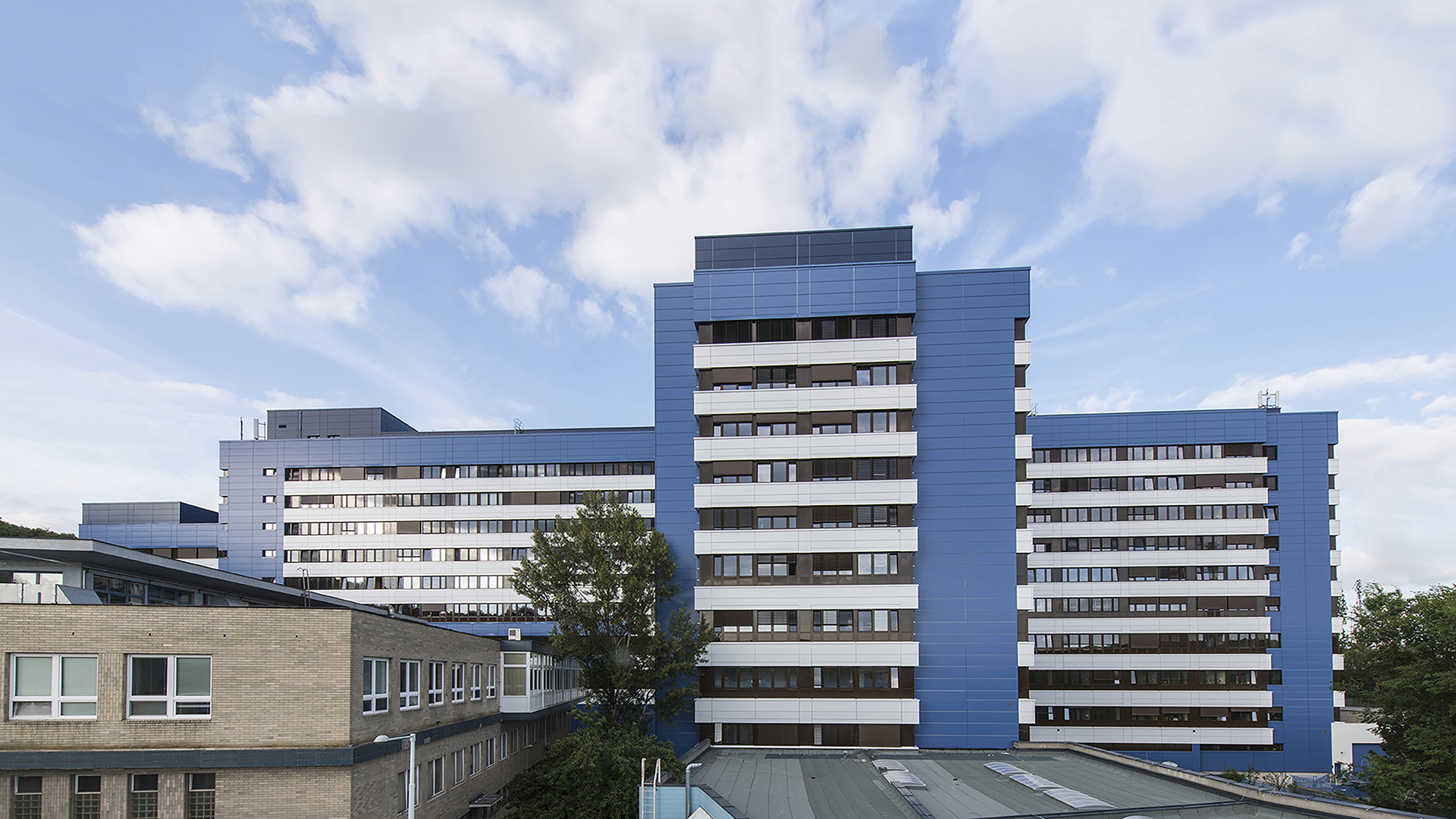 Budoucnost je zelená, ale i ekonomická. Jak Motol ušetří miliony a sníží emise o tisíce tun