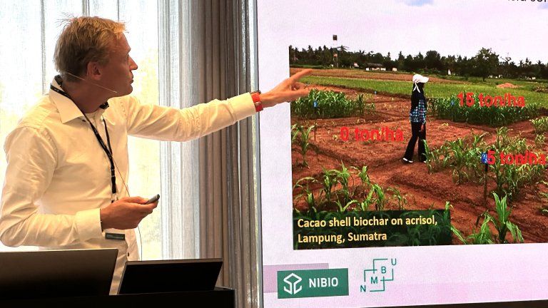 Healthy soils matter for climate, food and human health