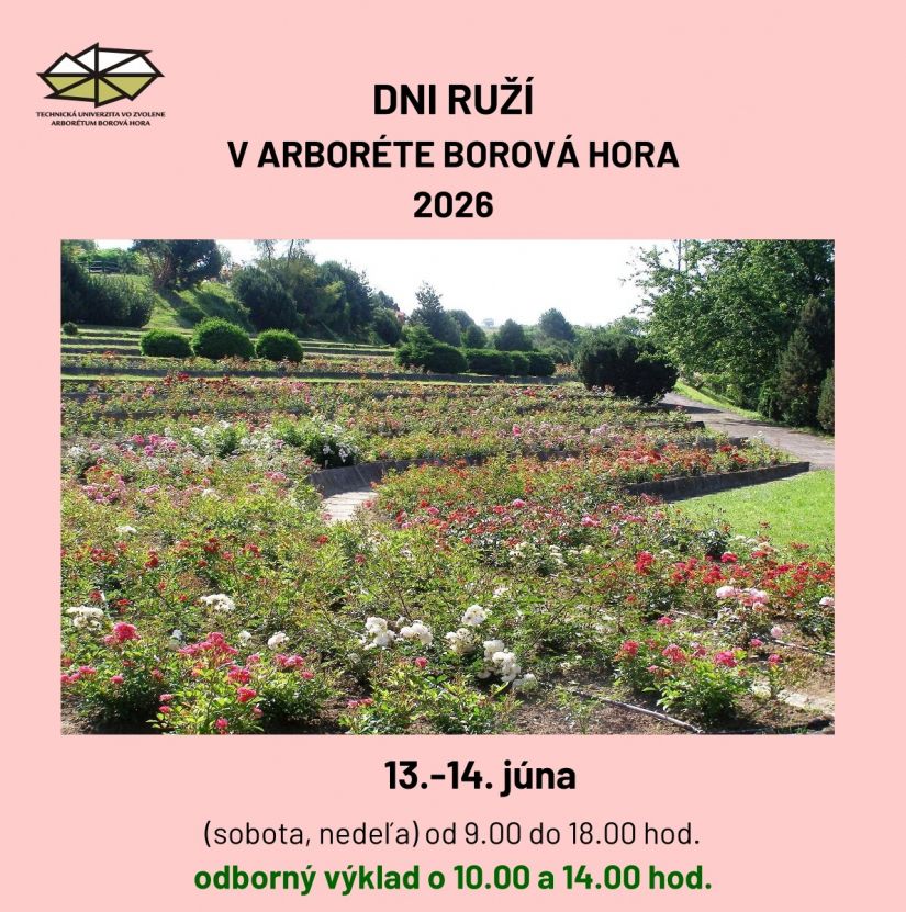 Dni ruží 2026 v Arboréte Borová hora