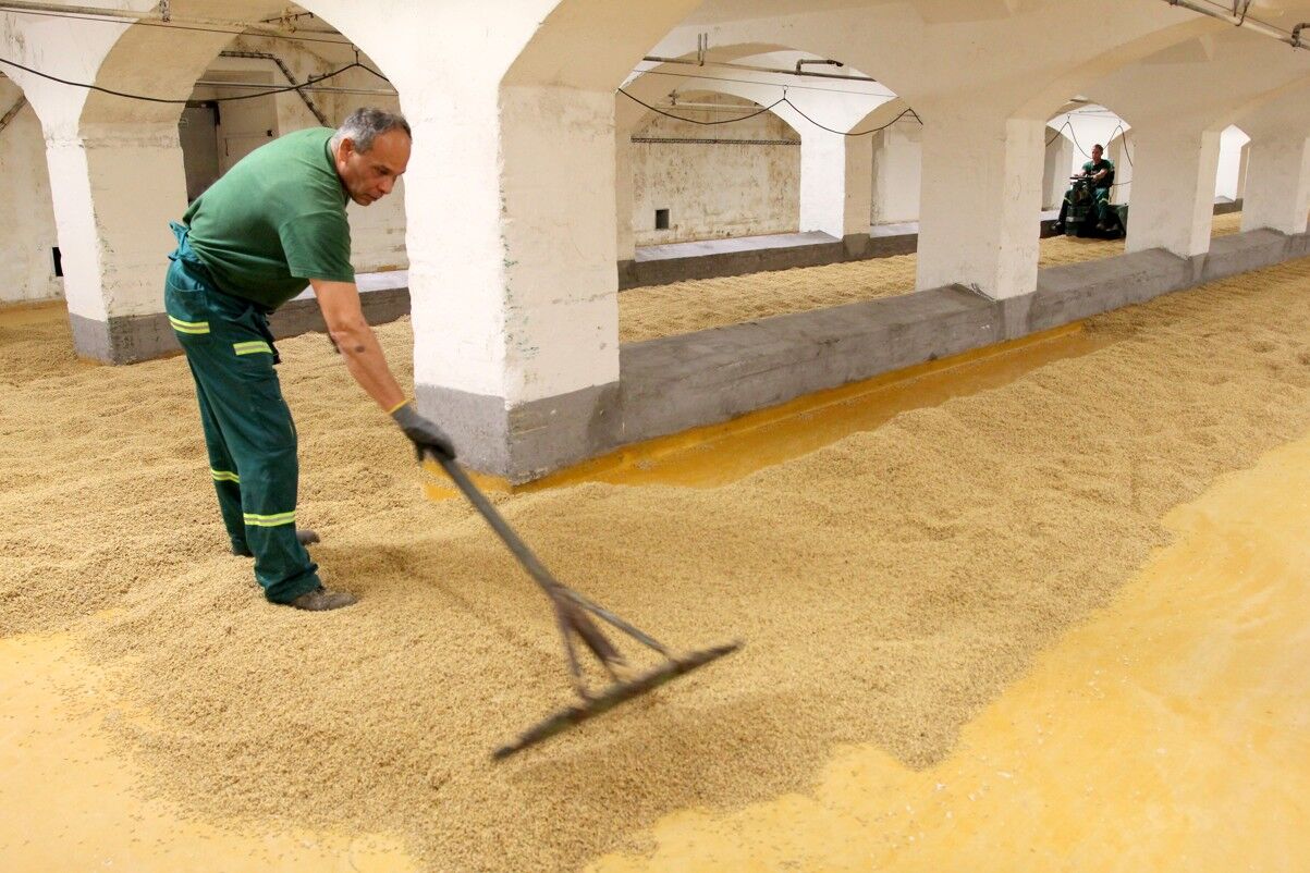 O kvalitě piva se rozhoduje už ve sladovně. Nová sezona tu právě začala