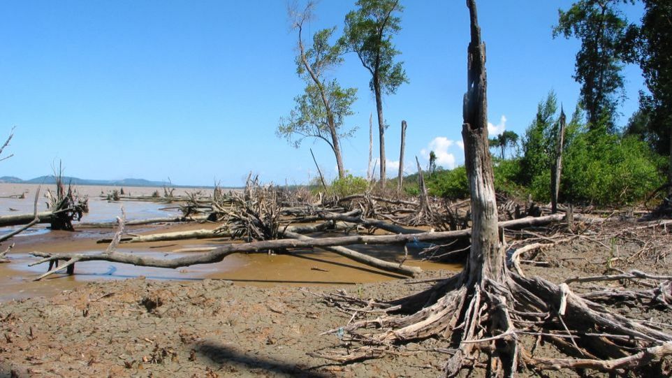 Resiliente Küsten