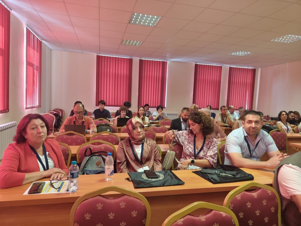 Международен семинар по нелинеен анализ и неговите приложения