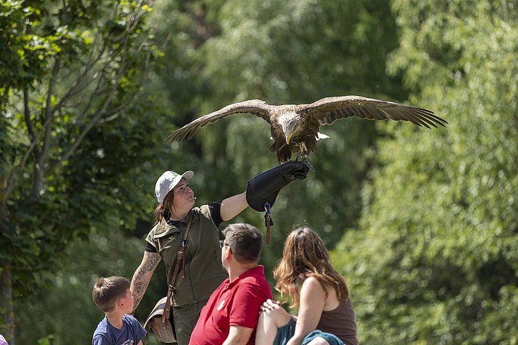 Gelungenes Familienfest im Ötzi-Dorf & Greifvogelpark Umhausen