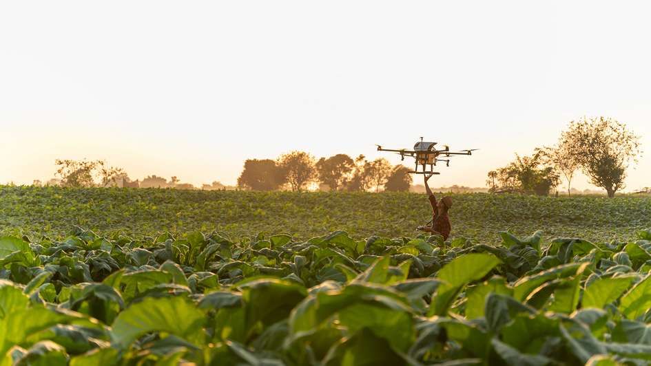 Ideen gegen den Hunger: Wie Innovation Ernährungssysteme verändern kann