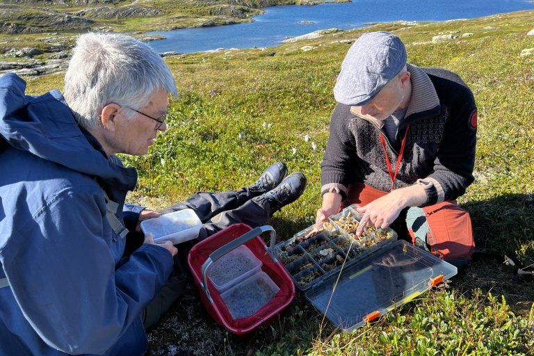 Searching for unknown fungi in the mountains