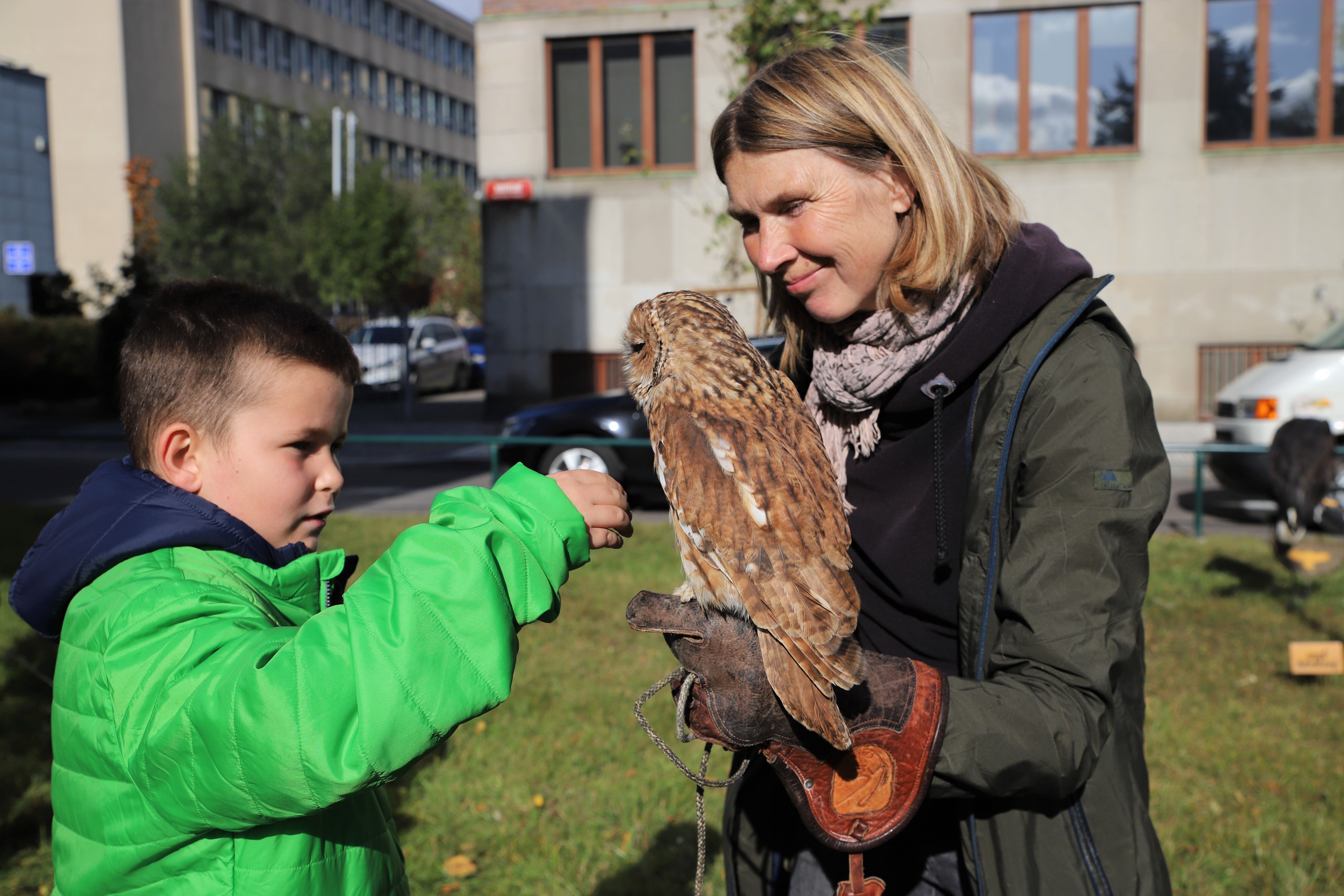Jak na zvěřinu, poradí návštěvníkům Mysliveckého dne herečka Markéta Hrubešová