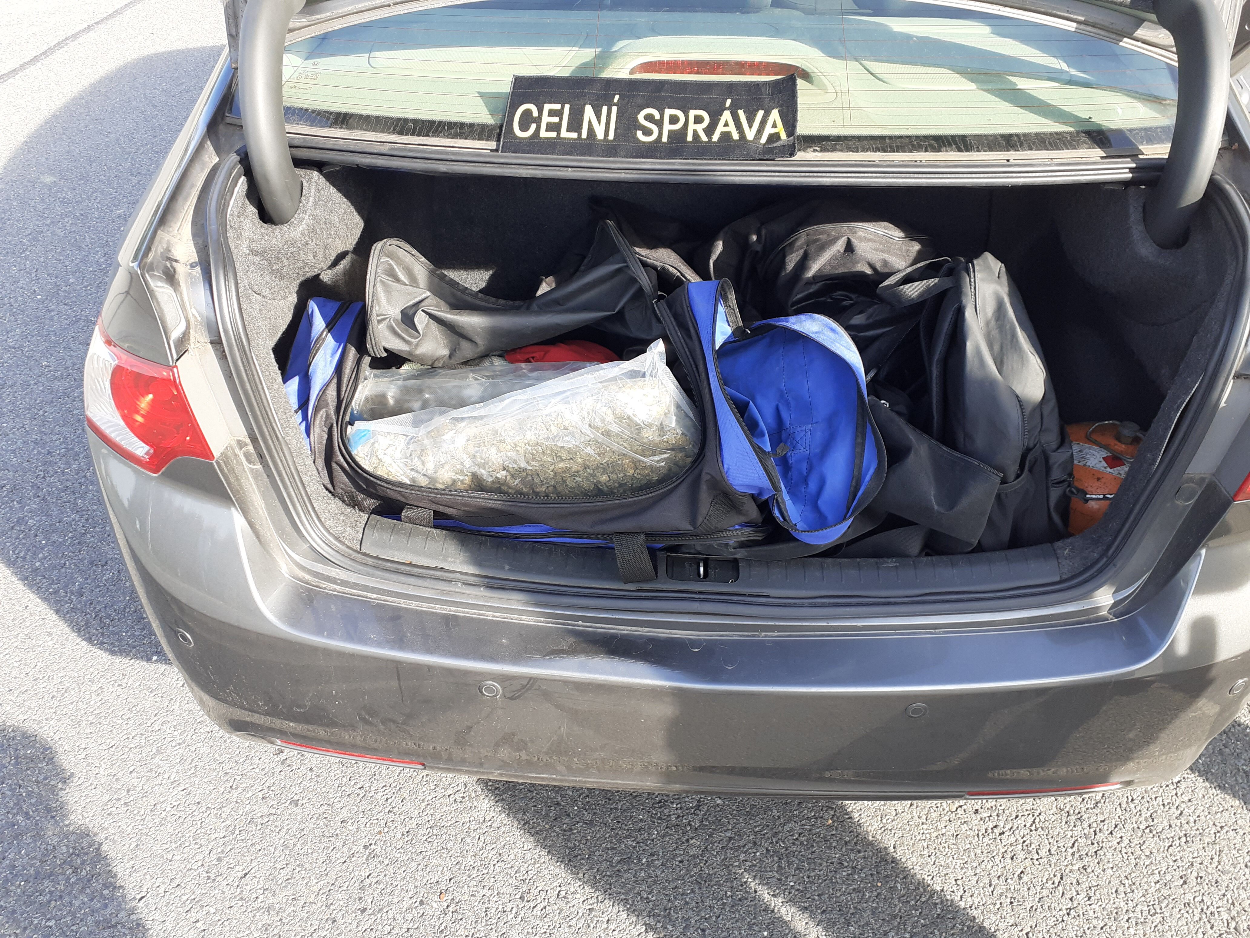 Slovenského sběratele hub překvapili celníci, v zavazadle měl téměř 300 lysohlávek