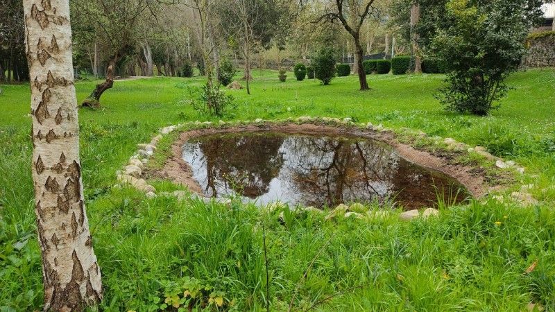 Santander refuerza el hábitat de las charcas urbanas