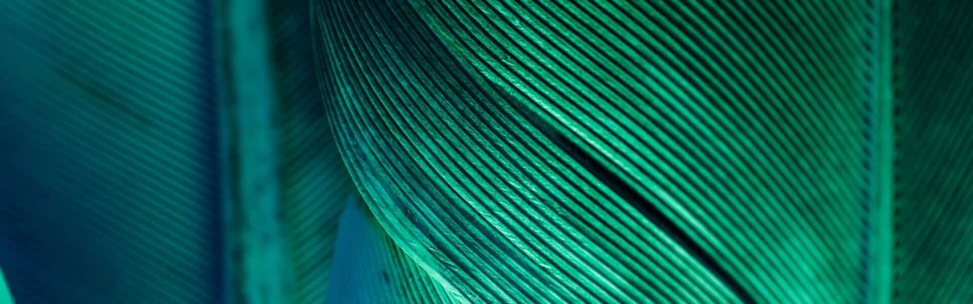 Welche Entwicklungen aktuelle KI-Transformationsprojekte aufzeigen