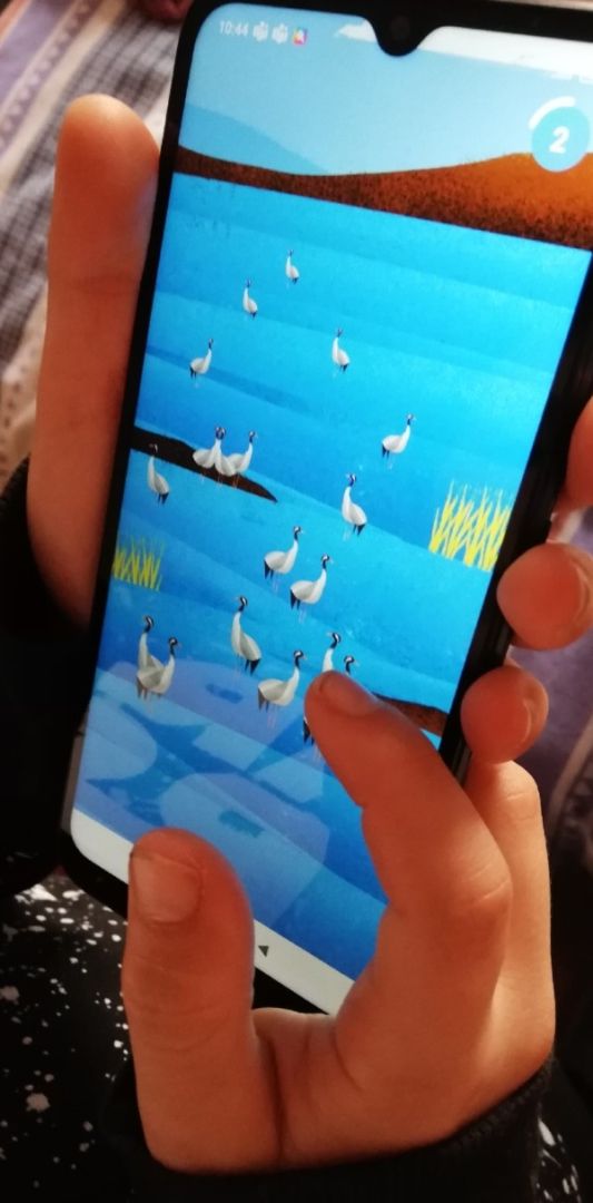 Aprende jugando con Avizor y Avefy